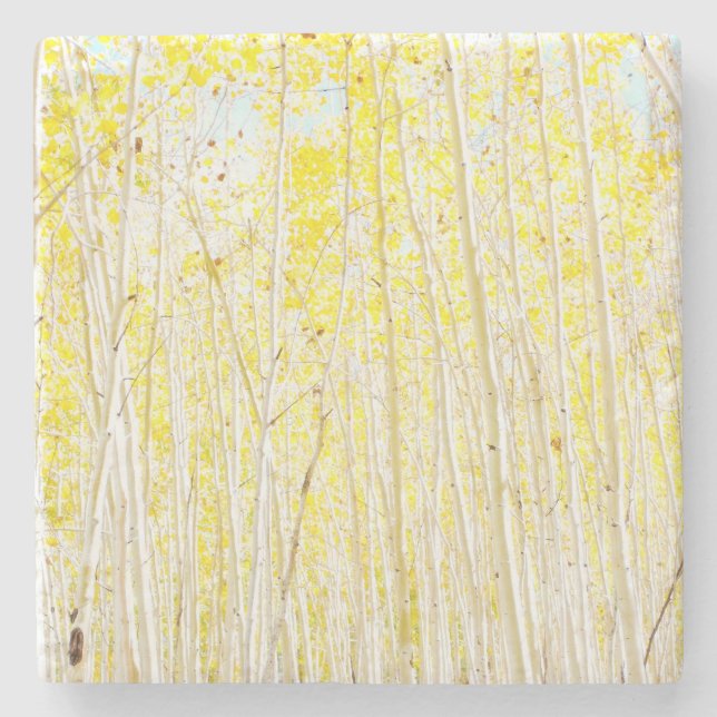 Vanilla Cake Aspen trees Stone Coaster (Front)