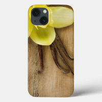 Vanilla Pods and Flower over Wooden Background