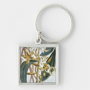 Vanilla pods, plate 65, from 'Collection Precieuse Key Ring
