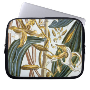 Vanilla pods, plate 65, from 'Collection Precieuse Laptop Sleeve