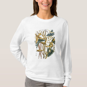 Vanilla pods, plate 65, from 'Collection Precieuse T-Shirt