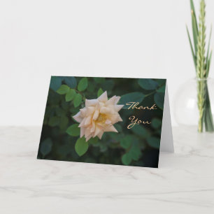 Vanilla Rose thank you Card