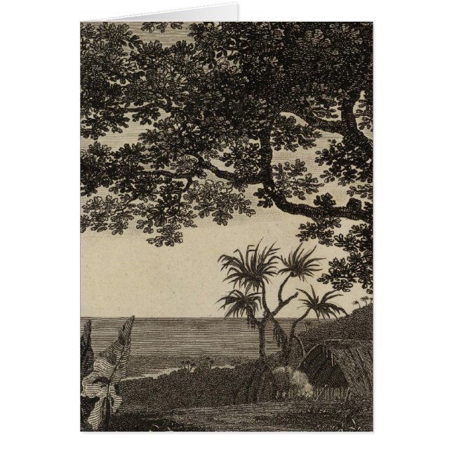 Vanuatu 3 (Front)