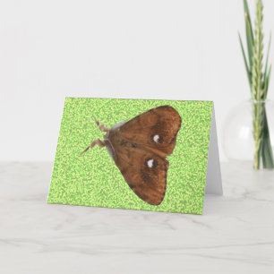 Vapourer Moth Greeting Card