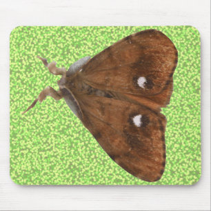 Vapourer Moth Mousepad