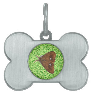 Vapourer Moth Pet Tag