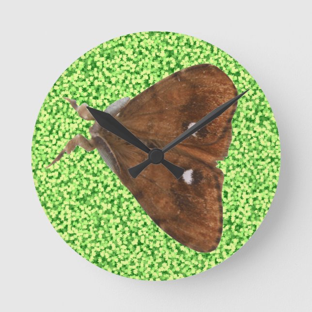 Vapourer Moth Wall Clock (Front)