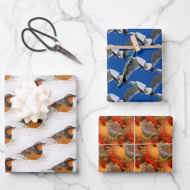 Varied & Hermit Thrushes & Ring-Billed Gull Birds Wrapping Paper Sheet (Front)