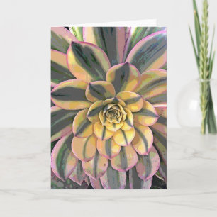 Variegated Aeonium Card