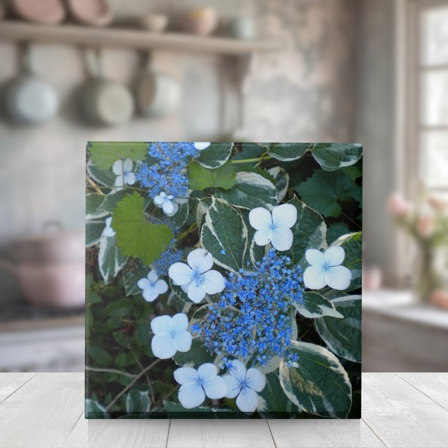 Variegated Blue Hydrangea Ceramic Tile (Creator Uploaded)