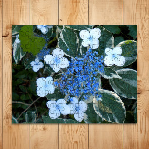 Variegated Blue Hydrangea Jigsaw Puzzle