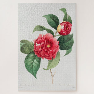 Variegated Camellia, Pierre-Joseph Redouté, 1833 Jigsaw Puzzle