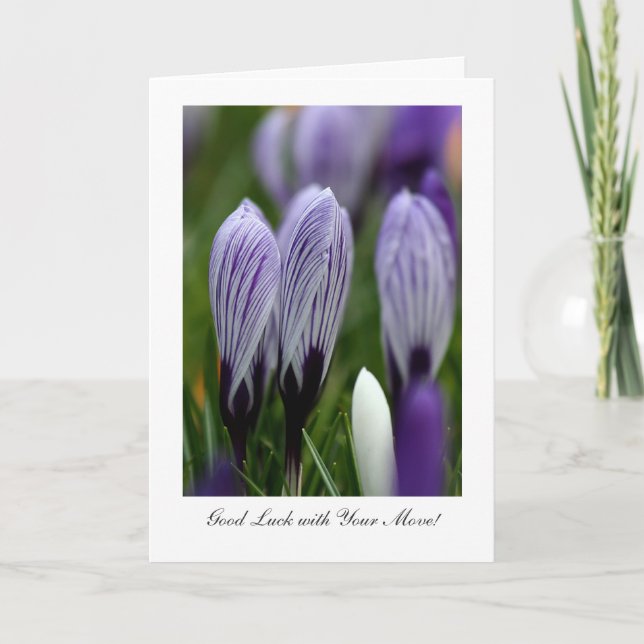 Variegated Crocuses - Good Luck with Your Move Card (Front)
