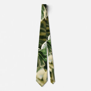 Variegated Greens Tie