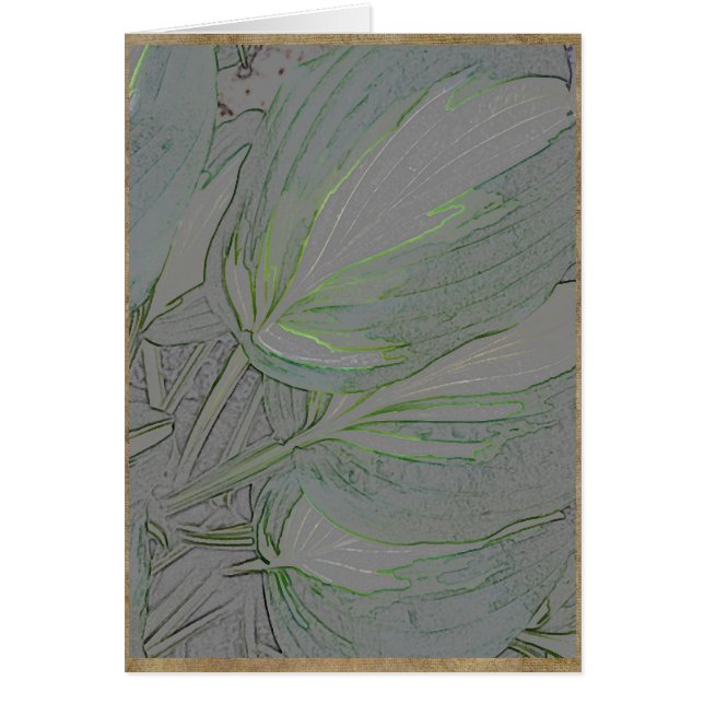 Variegated hosta leaves (Front)