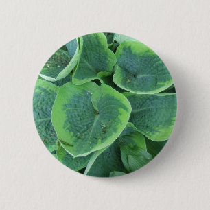 Variegated Hosta Light Green Dark Green Leaves 6 Cm Round Badge