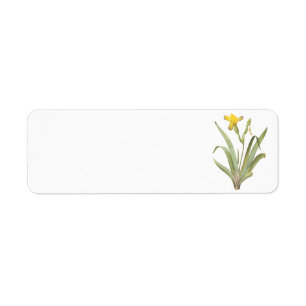 variegated iris(Iris variegata) by Redouté Return Address Label