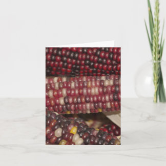Variegated Maize Holiday Card