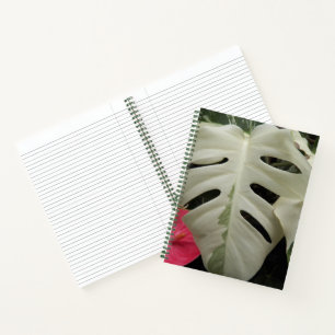 Variegated Monstera Leaf Botanical Notebook