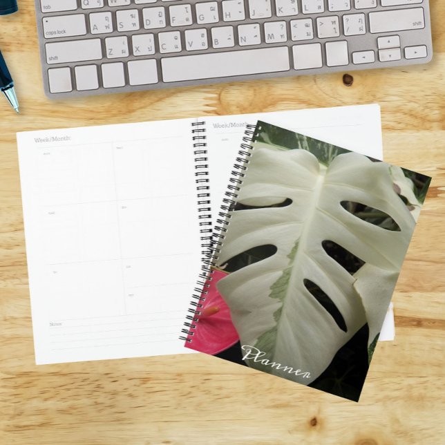 Variegated Monstera Leaf Floral Calendar | Planner (In Situ)