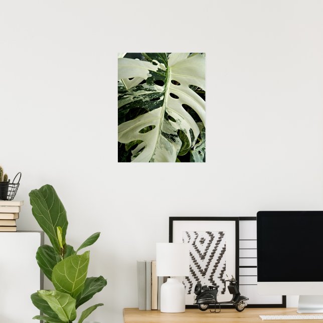 Variegated Monstera Plant Floral Poster (Home Office)