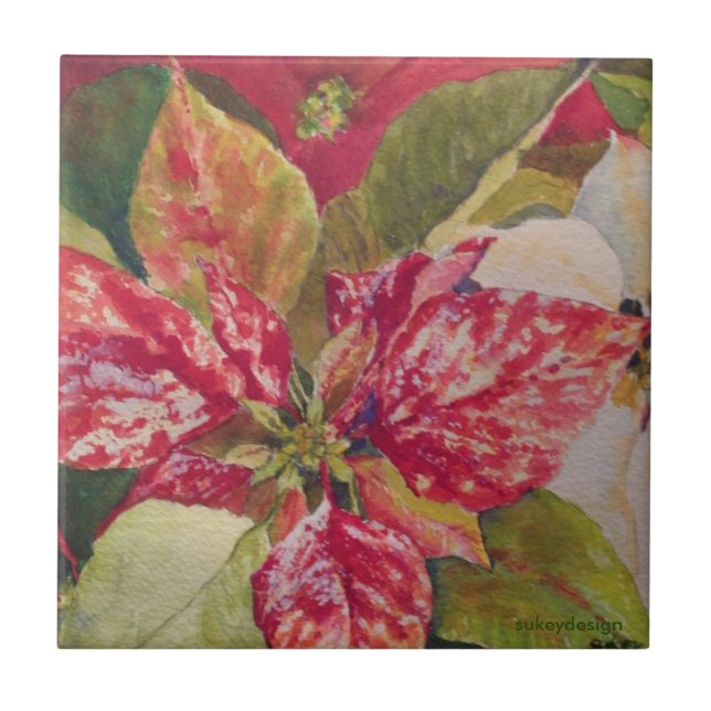 Variegated Poinsettia Tile (Front)