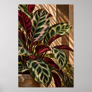 Variegated Tropical Leaves in Golden Light Wall Ar Poster