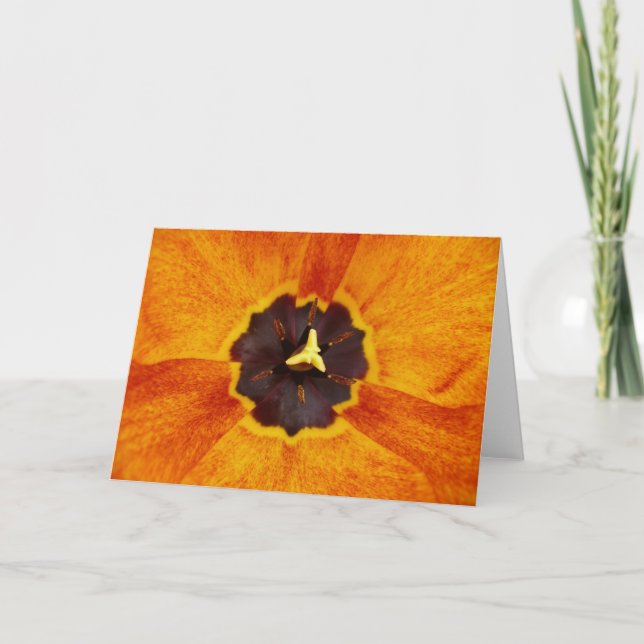 Variegated Tulip Note Card (Front)