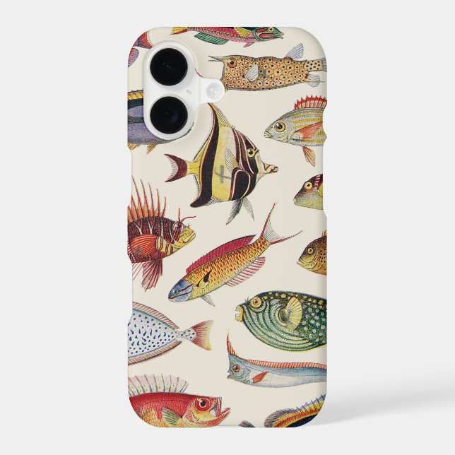 Varieties of Fish (Back)