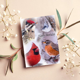 Variety Of Birds Happy Birthday Card