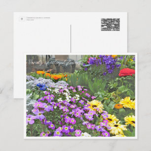 Variety of colorful flowers postcard