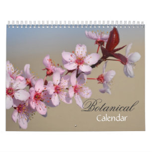 Variety of Flowers  Calendar