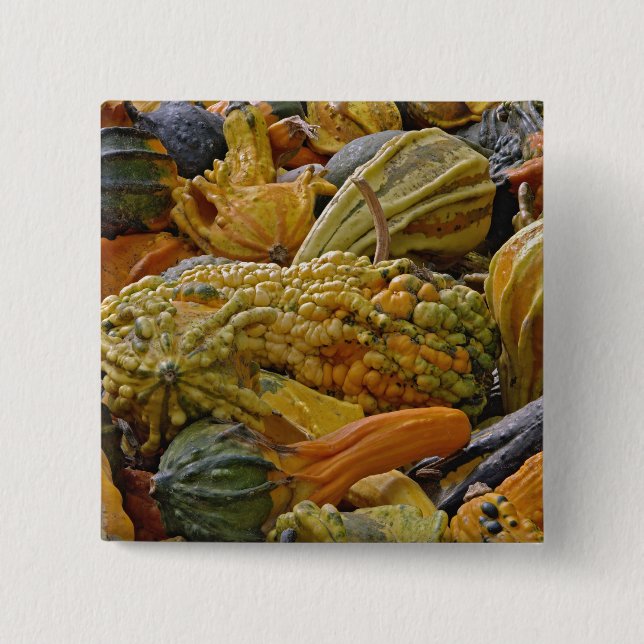 Variety of squash 15 cm square badge (Front)