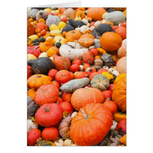 Variety of squash for sale, Germany