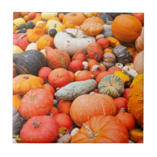 Variety of squash for sale, Germany Tile