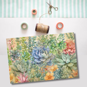 Variety Of Succulents Tissue Paper