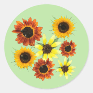 Variety of Sunflowers and Bumblebees Stickers