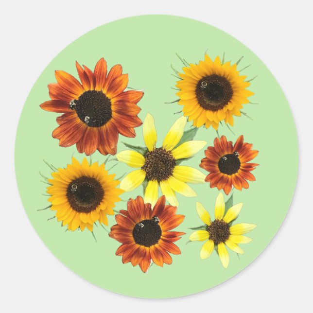 Variety of Sunflowers and Bumblebees Stickers (Front)