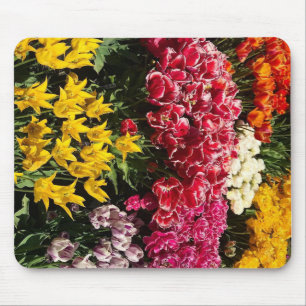 Variety of Tulips Mouse Pad