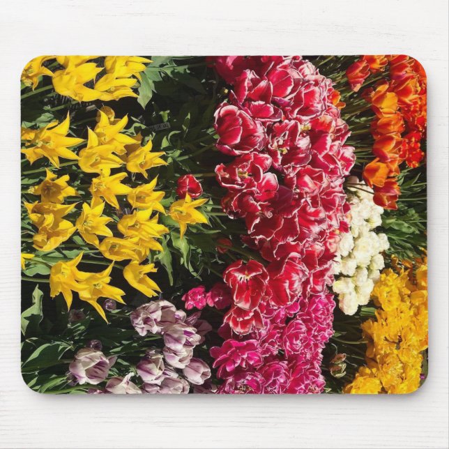 Variety of Tulips Mouse Pad (Front)