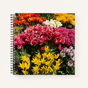 Variety of Tulips Notebook