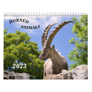 Various animals calendar