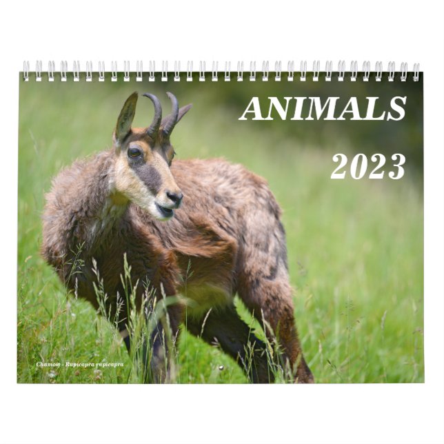 Various animals calendar (Cover)