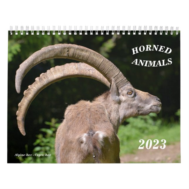 Various animals calendar (Cover)