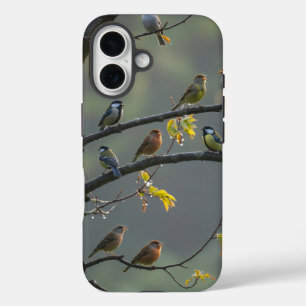 Various birds perched on tree branches iPhone 16 case