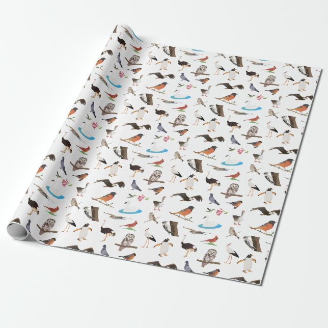 Various Birds Wrapping Paper (Unrolled)