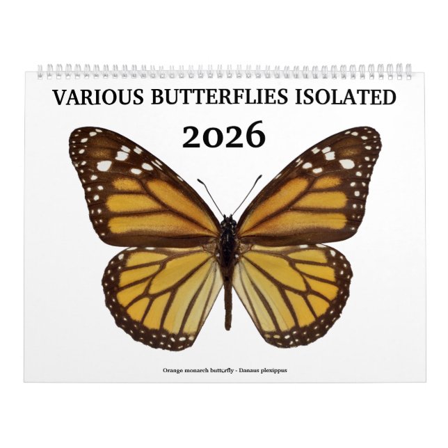 Various butterflies 2023 calendar (Cover)
