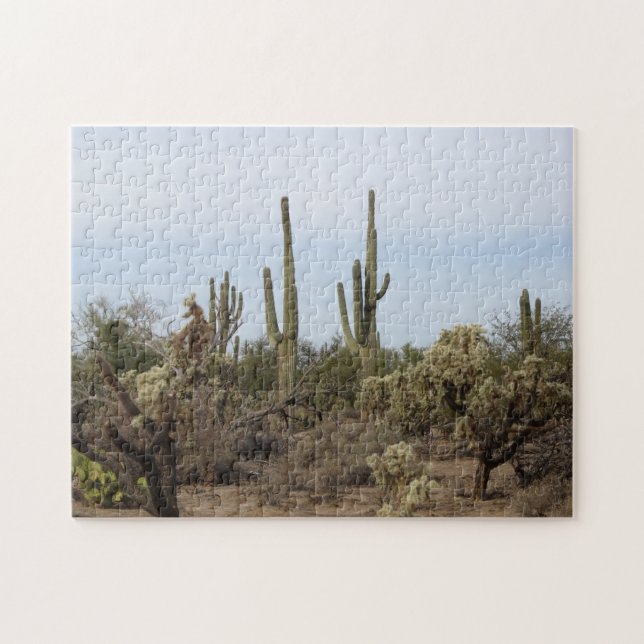 Various Cacti Jigsaw Puzzle (Horizontal)