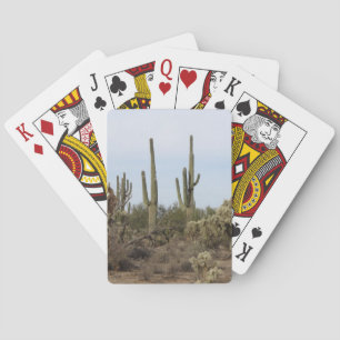 Various Cacti Playing Cards