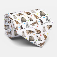 Various Cats Pattern